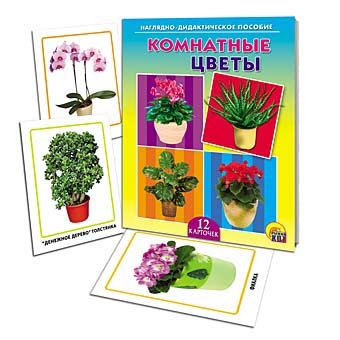 9521ПД ДИД.ПОСОБИЕ "КОМНАТНЫЕ ЦВЕТЫ" (РК)